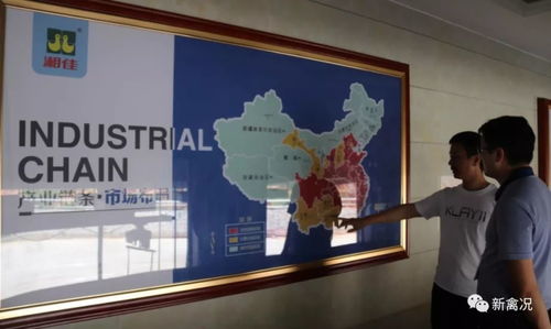 國雞侶行丨湘佳牧業(yè) 兩大秘訣實現(xiàn)生鮮國雞銷售9億元